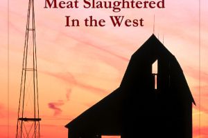 The Ruling On Meat Slaughtered In The West