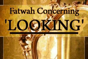 Fatwa Concerning Looking